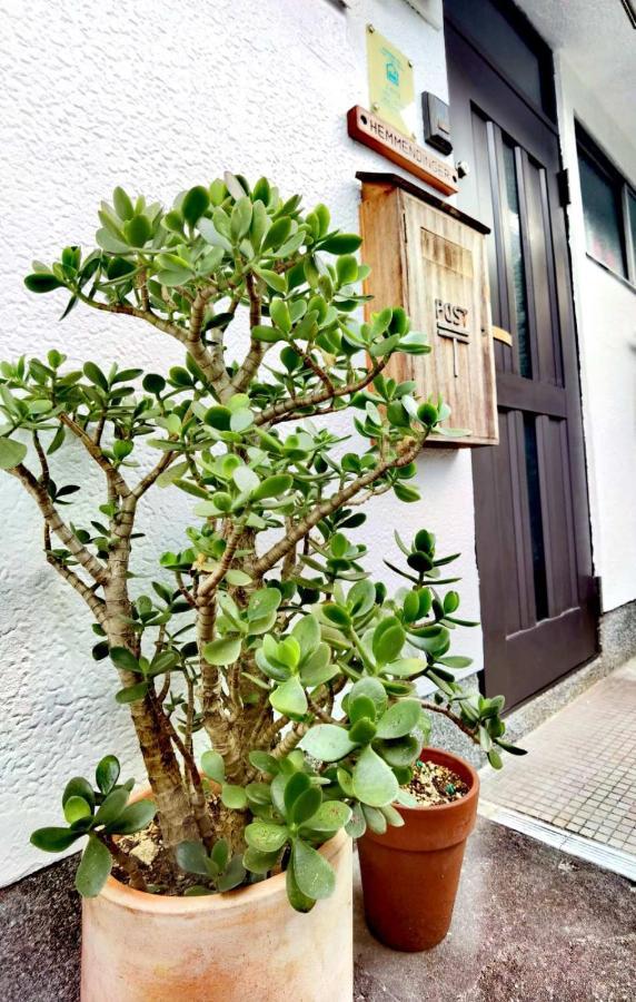 Bighem Maison 2 إيزوميسانو المظهر الخارجي الصورة